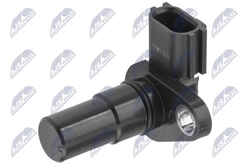 Ecp ms 018 nty - n.t.y., ecp-ms-018.nty