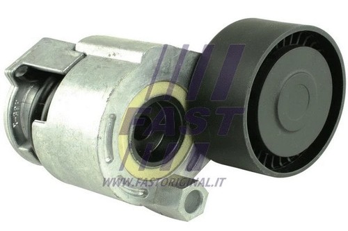 Ribbed belt tensioner - belt,